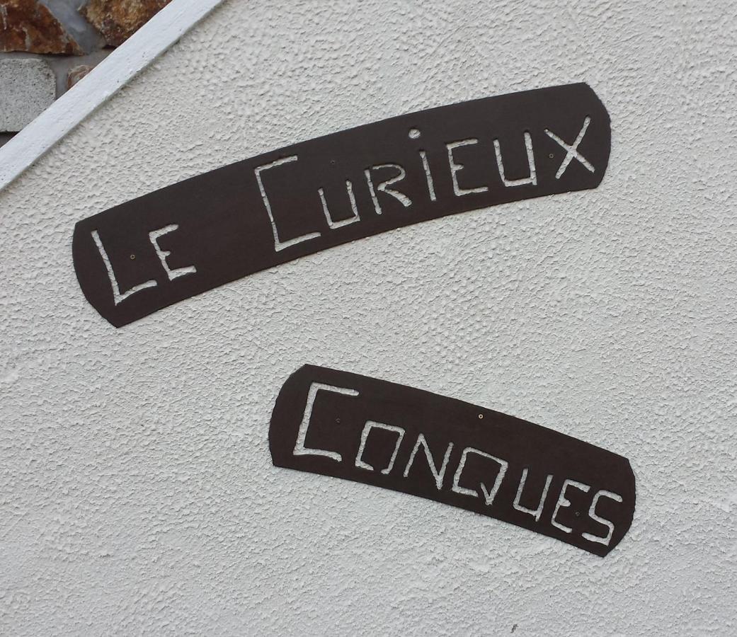 Le Curieux De Conques Bed and Breakfast Saint-Cyprien-sur-Dourdou Eksteriør billede