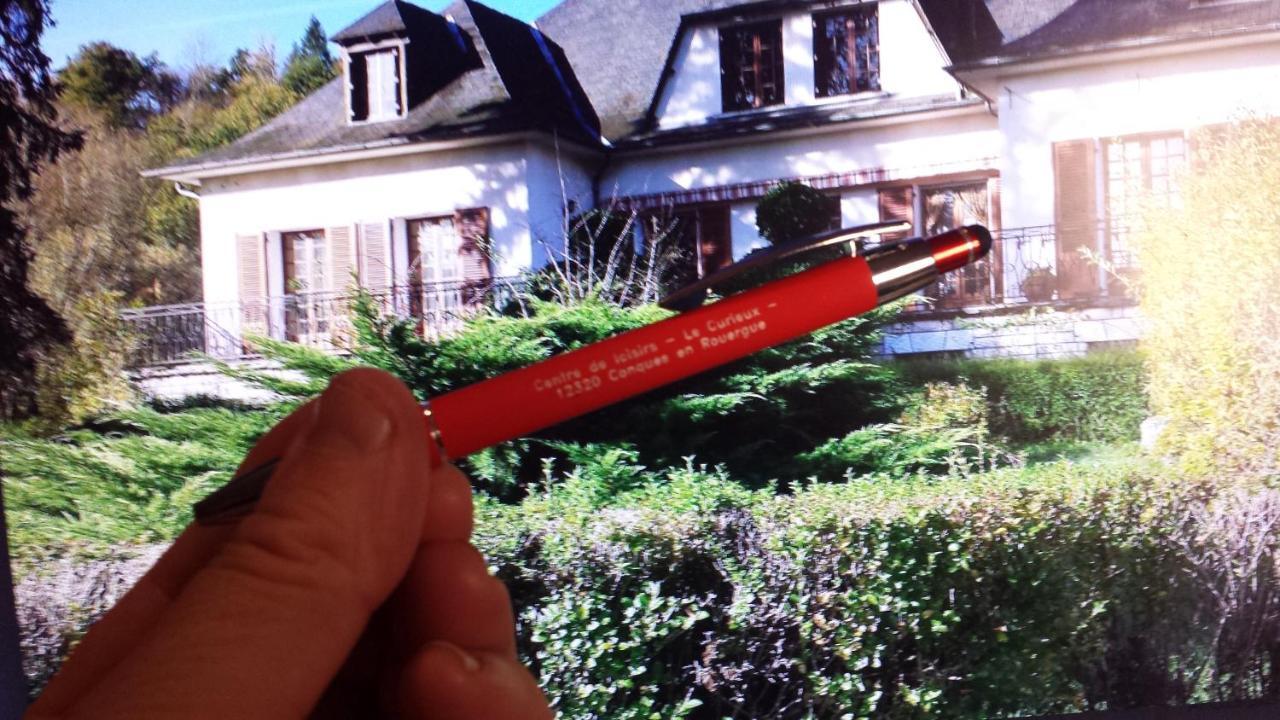 Le Curieux De Conques Bed and Breakfast Saint-Cyprien-sur-Dourdou Eksteriør billede