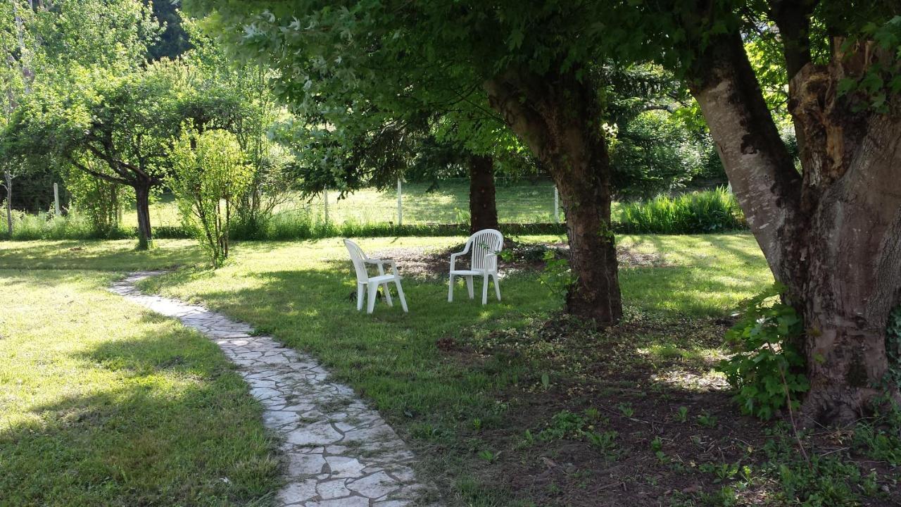 Le Curieux De Conques Bed and Breakfast Saint-Cyprien-sur-Dourdou Eksteriør billede